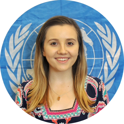 About Best Delegate | Model United Nations